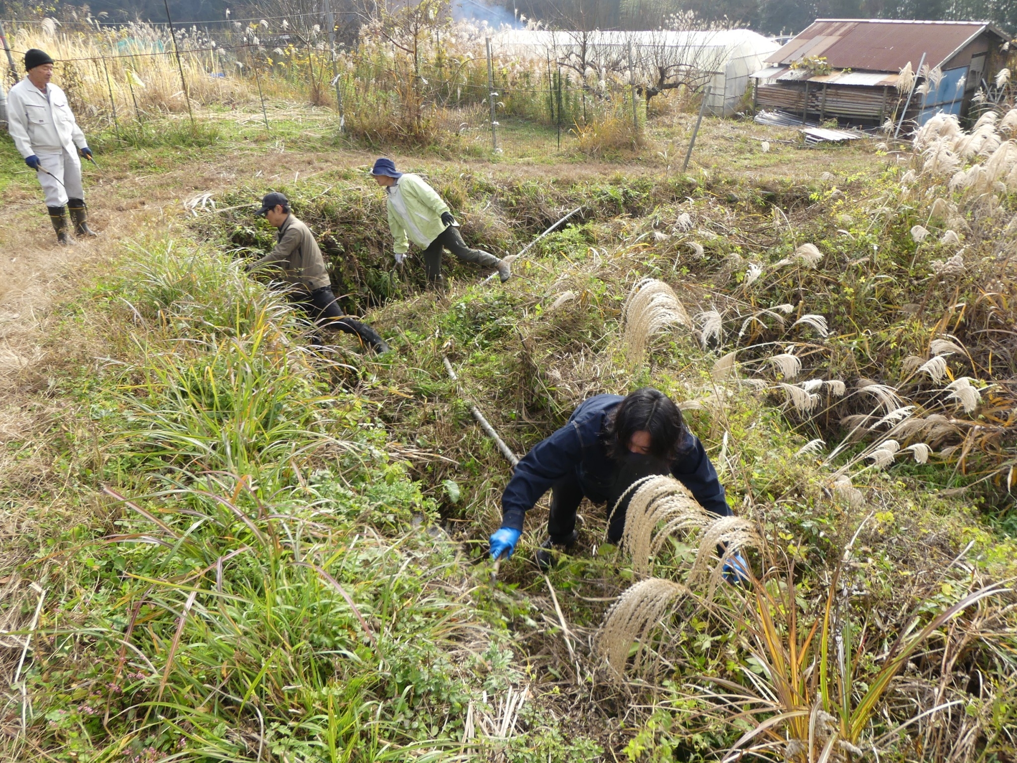 4/5（土）10〜12時 米原市小泉で草刈り・獣害柵整備・畑整備